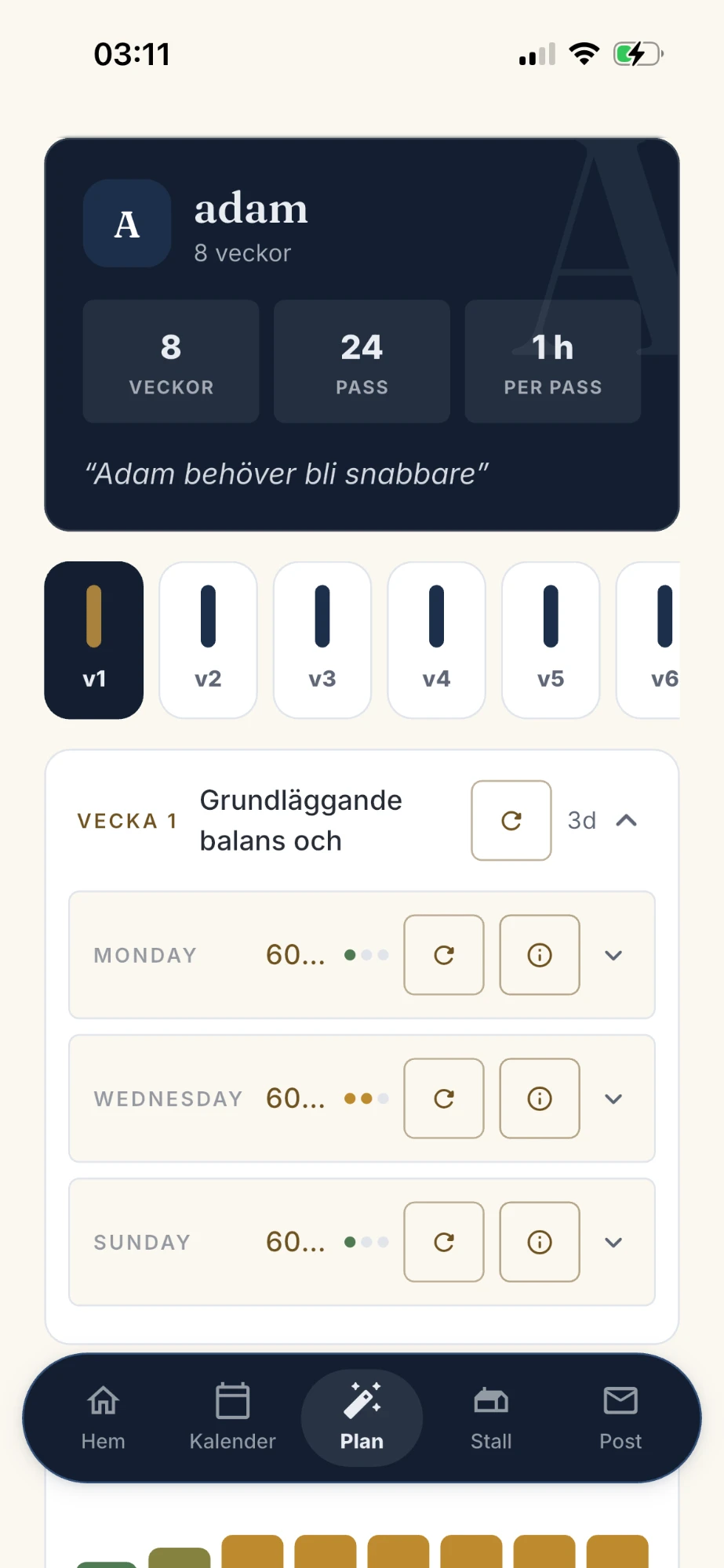 Stallys AI-träningsplanerare